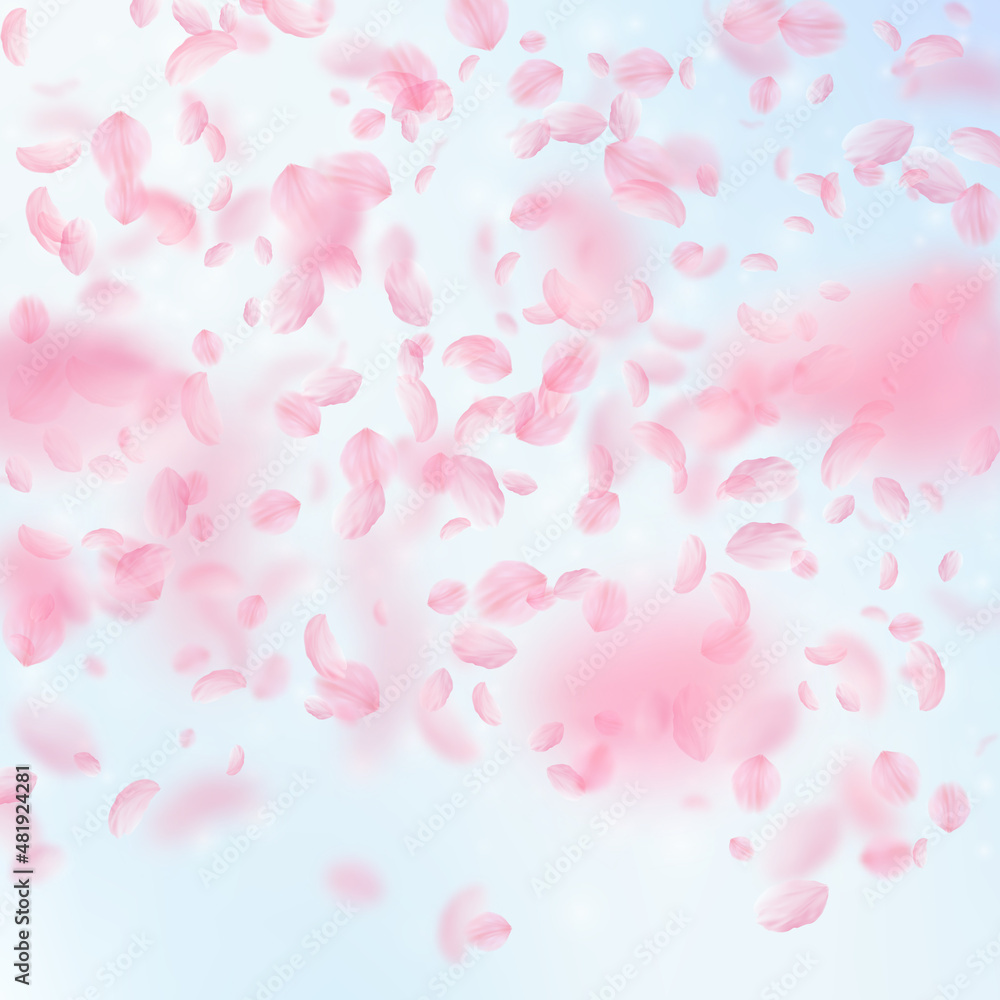 Sakura petals falling down. Romantic pink flowers gradient. Flying petals on blue sky square background. Love, romance concept. Pleasing wedding invitation.