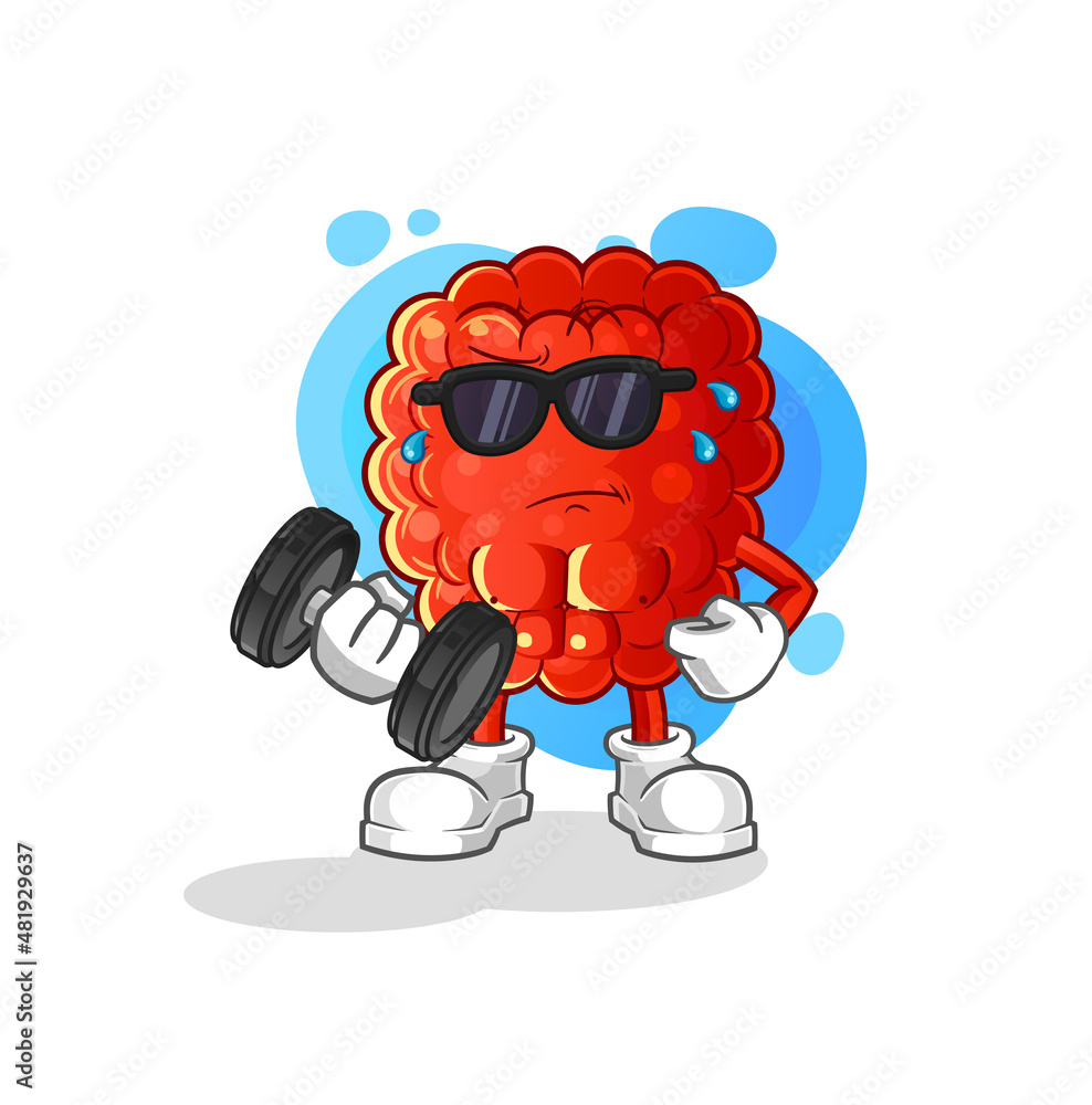 Obraz premium raspberry lifting dumbbell vector. cartoon character