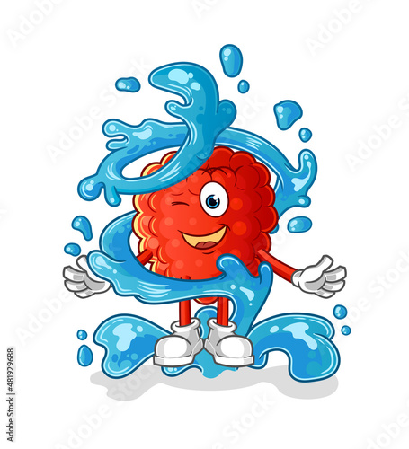 raspberry fresh with water mascot. cartoon vector