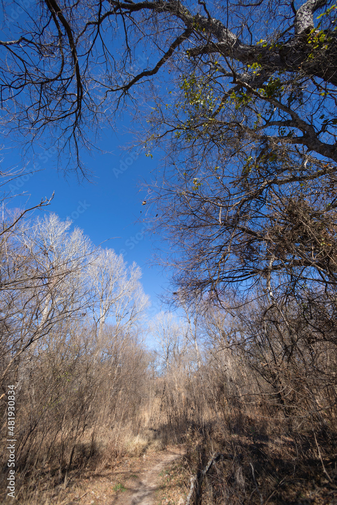 Brownwood Texas, Riverside park, walking trial during winter season.