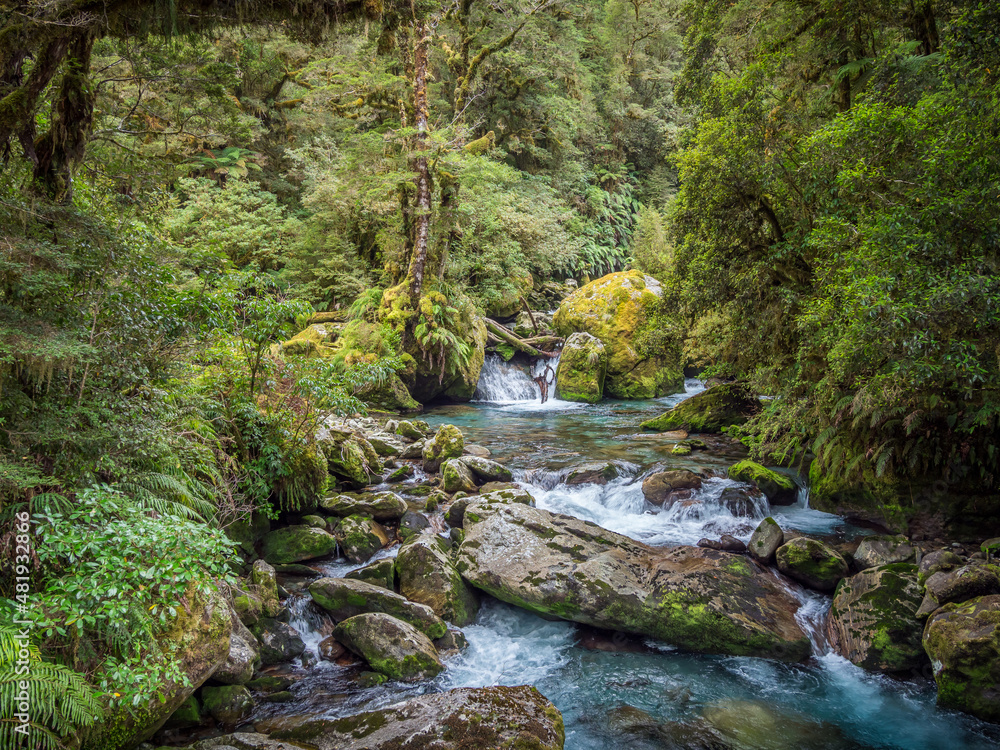 Milford Track River Milford Track River