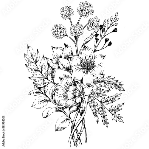 hand drawn illustration of flower bouquet in engraved style, isolated on white background