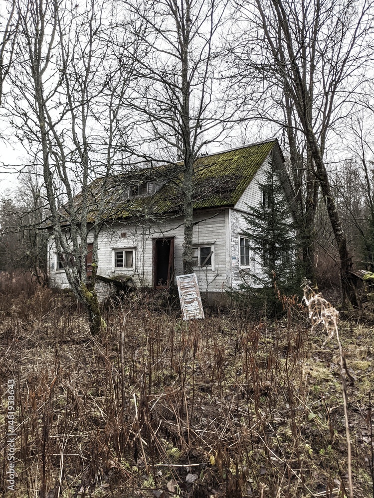An old abandoned house with a mossy roof An old abandoned house with a mossy roof