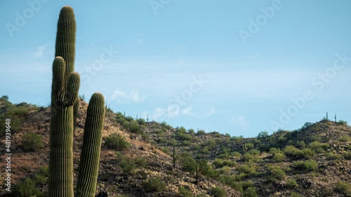 Desert Cactus Time Lapse with Mountain Hiking Hills in Background photo