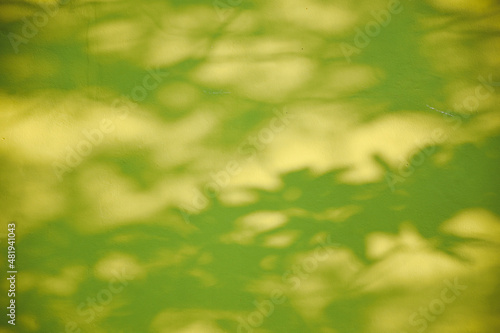 Shadows of sunlight shining through the leaves