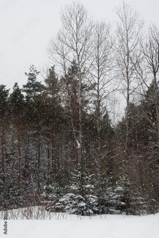 Fototapeta premium Snowy scene is Ontario, Canada