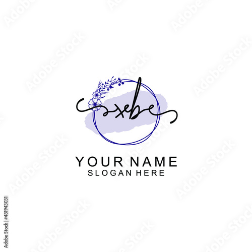 Initial XB beauty monogram and elegant logo design handwriting logo of initial signature