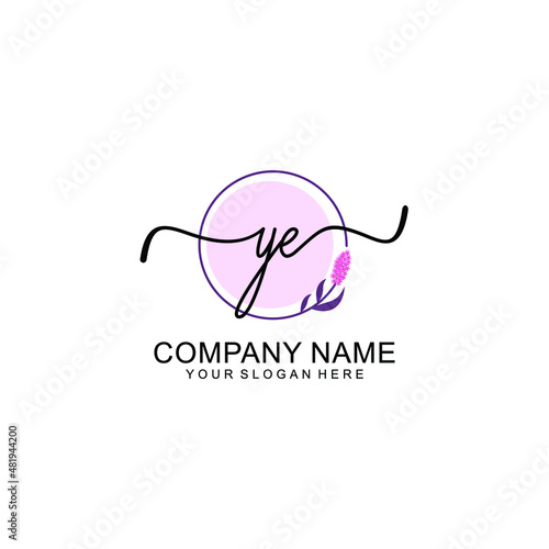 Initial YE beauty monogram and elegant logo design handwriting logo of initial signature