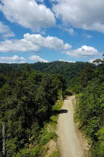 A view of Wildlife Refuge of Golfito in Puntarenas, Costa Rica photo