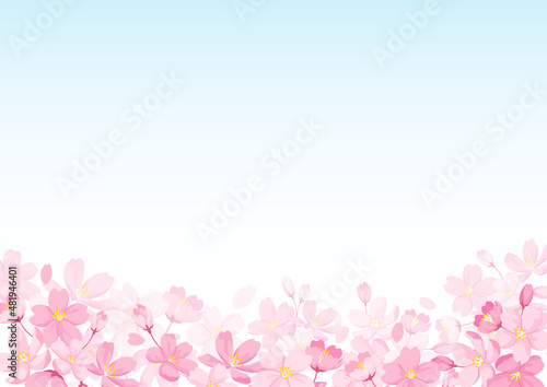 桜の花のイラストと青空の背景イラスト　ベクター素材