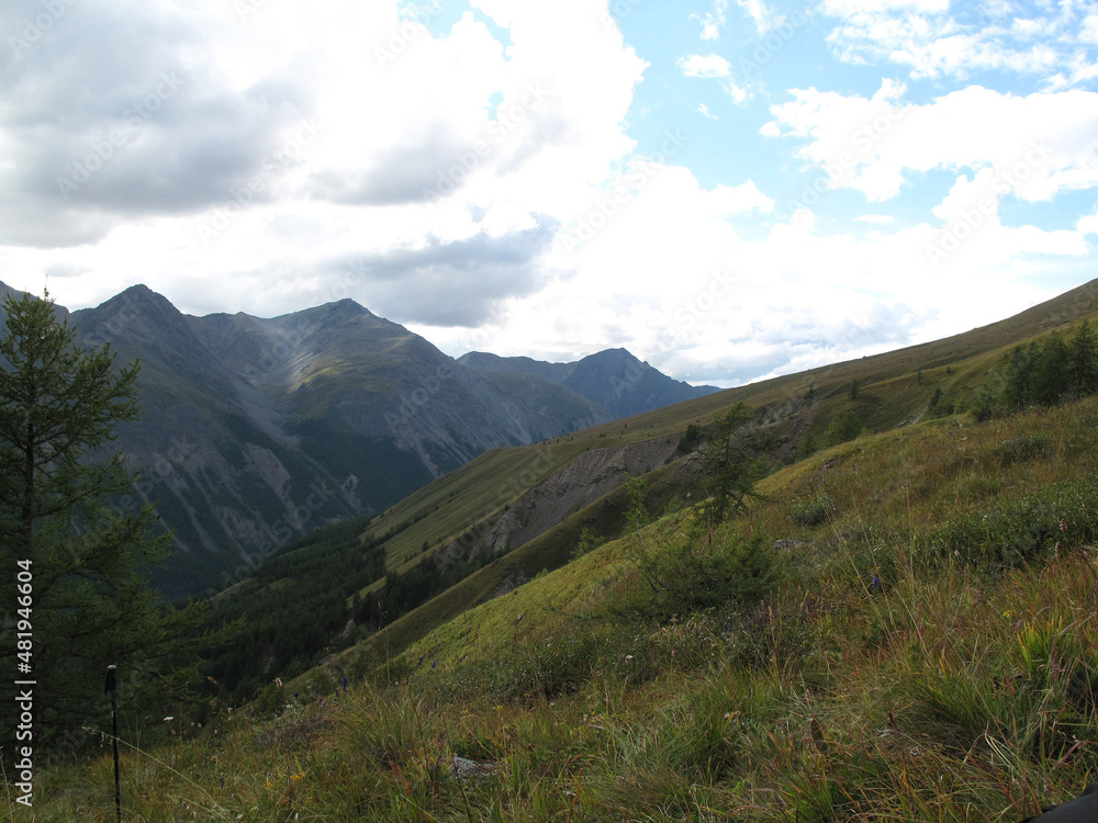 Obraz premium Beautiful landscape of Altay region, Russia