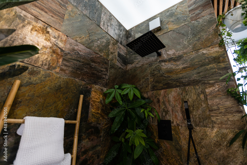 Obraz premium Stylish interior of bathroom with green houseplants