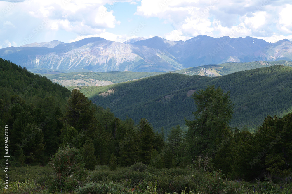 Fototapeta premium Beautiful landscape of Altay region, Russia