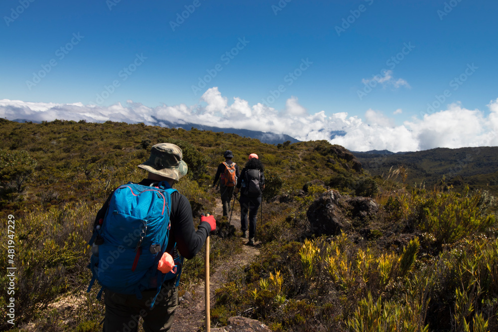 group of hikers walking through a beautiful green and sunny landscape in the mountains of Costa Rica