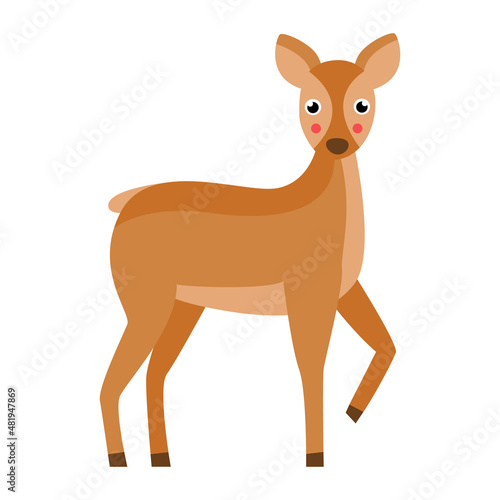 Vector illustration of cute deer isolated on white background.