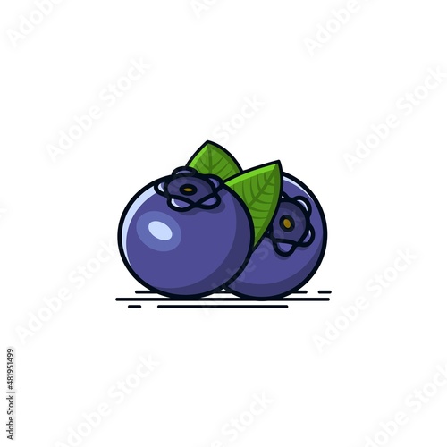 Set of two blue berries vector icon with green leaves