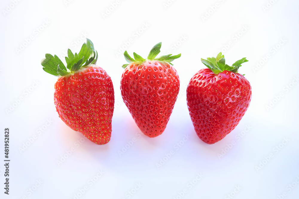 栃木県産いちご　とちおとめ　スカイベリー　とちあいか