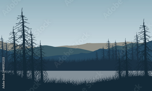 Beautiful view of the mountains from the edge of the lake with the silhouette of dry trees around it