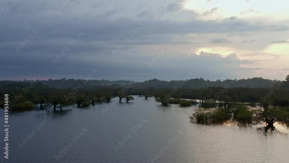 Nature background, flying over a beautiful lake in a tropical forest with trees of the genus Macrolobium and a colorful evening sky in the Amazon rainforest of South America Nature background, flying over a beautiful lake in a tropical forest with trees of the genus Macrolobium and a colorful evening sky in the Amazon rainforest of South America