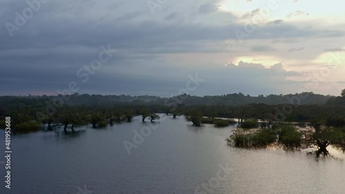 Nature background, flying over a beautiful lake in a tropical forest with trees of the genus Macrolobium and a colorful evening sky in the Amazon rainforest of South America  photo