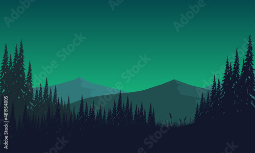 Aesthetic mountain view with silhouettes of pine trees and forest from the out of the village © City