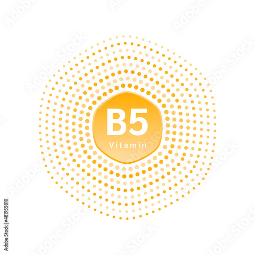 Vitamins B5 and minerals icon orange for human health in a hexagon scheme. Chemical formula isolated on white background. Vector EPS10 illustration. 