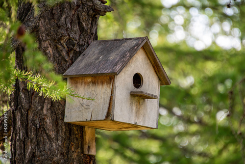 wooden bird house © марина кадырова