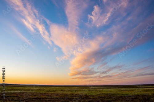 sunset over the field © марина кадырова