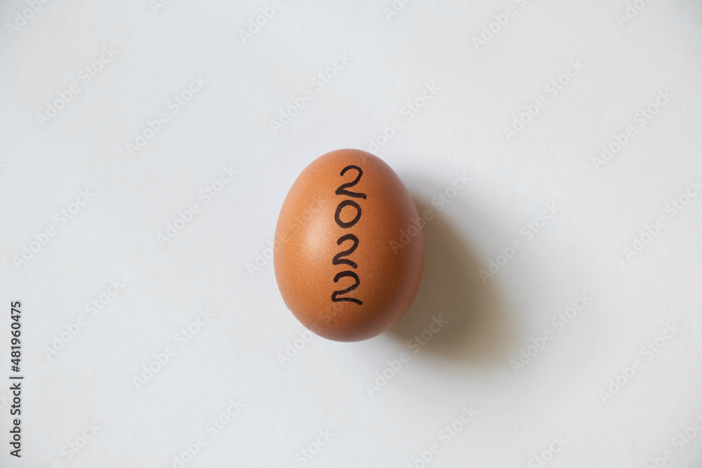 chicken yellow egg with text 2022 on isolated background chicken yellow egg with text 2022 on isolated background