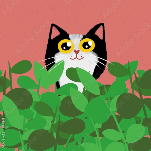 Cute tuxedo cat cartoon figure