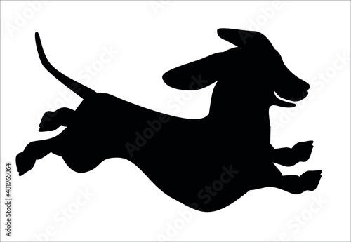 Dachshund silhouette of a running smiling dog on a white background