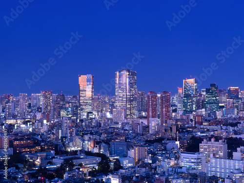 六本木ヒルズと東京の夜景 © moonrise