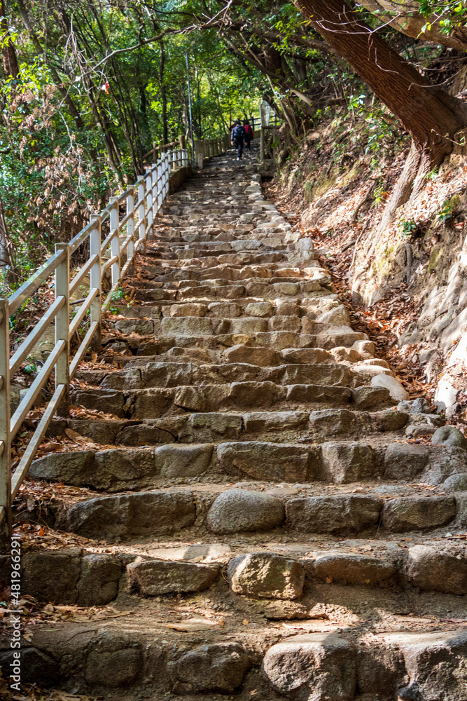 神戸・布引の滝へと続く長い石段
