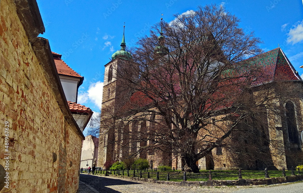 Fototapeta premium the town