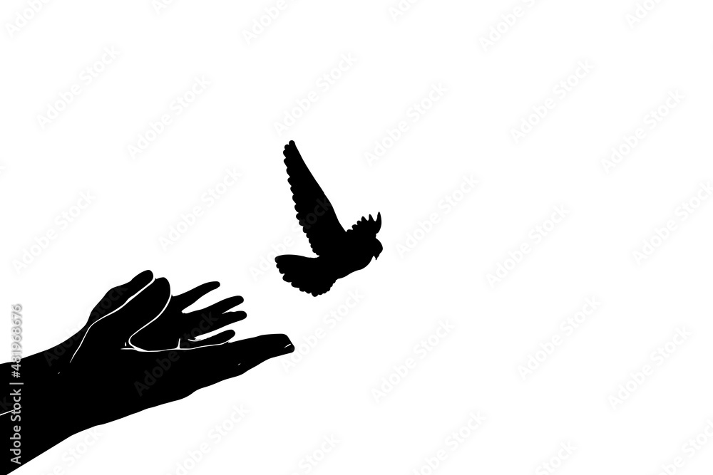 silhouette of birds flying from an open hand for freedom, freedom concept, Concept of liberty found, hope concept, bird set free. silhouette of birds flying from an open hand for freedom, freedom concept, Concept of liberty found, hope concept, bird set free.