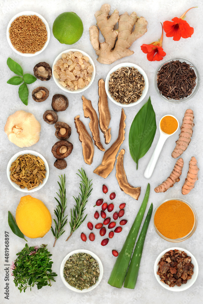 Healing health foods to boost the immune system. Vegetables, fruit with medicinal herbs and spice. Foods very high in antioxidants, anthocyanins, fibre, vitamins and minerals. On mottled grey. Healing health foods to boost the immune system. Vegetables, fruit with medicinal herbs and spice. Foods very high in antioxidants, anthocyanins, fibre, vitamins and minerals. On mottled grey.