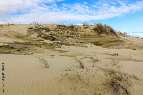 Sandd  nen an der Ostsee mit Winderosion und entstandenen Formen