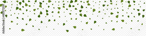 Swamp Greens Herbal Vector Panoramic Transparent
