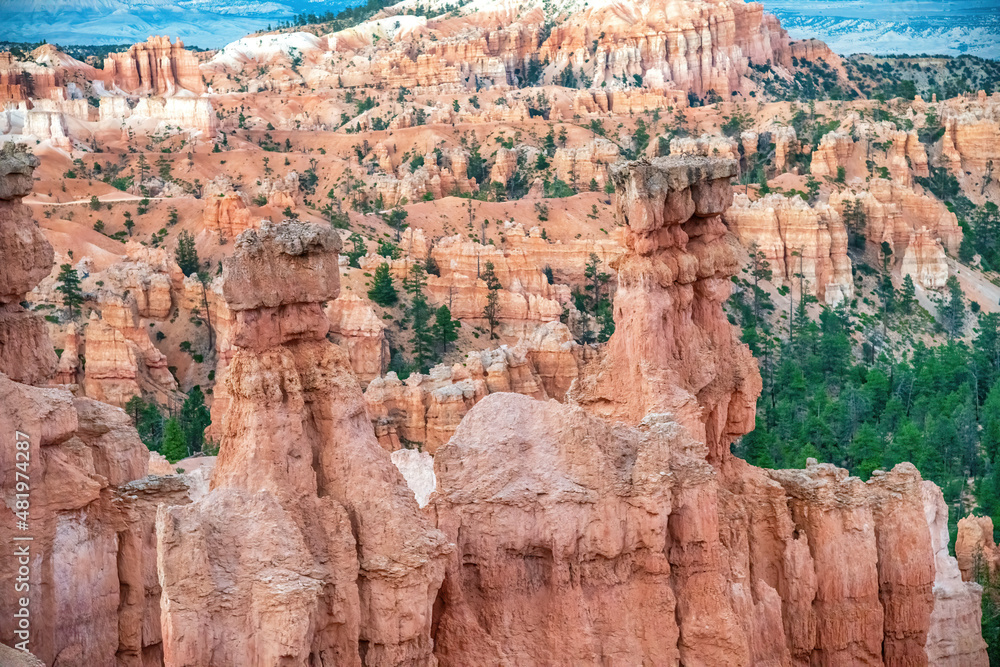 Aerial view of Bryce Canyon at summer sunset. Overlook of orange colorful hoodoos red rock formations in Bryce Canyon National Park, Utah - USA.
