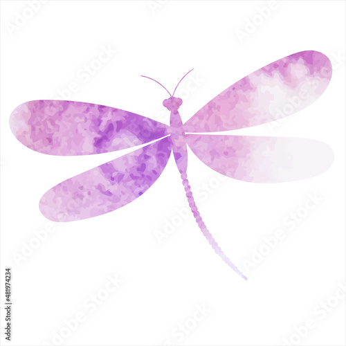 dragonfly watercolor purple silhouette,on white background,vector photo