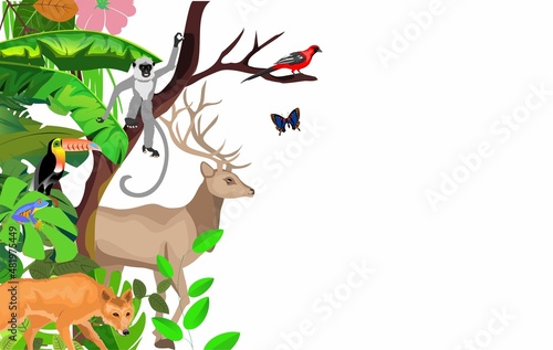 Vector jungle rainforest foliage  border illustration with deer, toucan, gibbon ape, wolf and butterflies