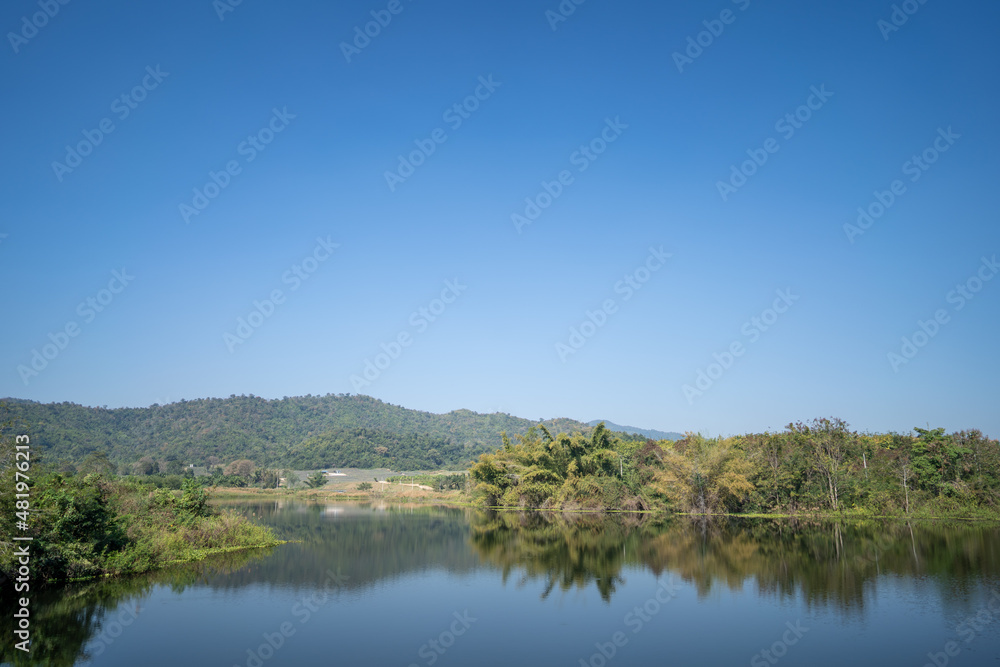 reflection of mountain pine forest and clear blue sky