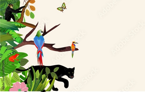 Vector jungle rainforest foliage  border illustration with panther, blue parrot, kingfisher chimpanzee ape and butterflies