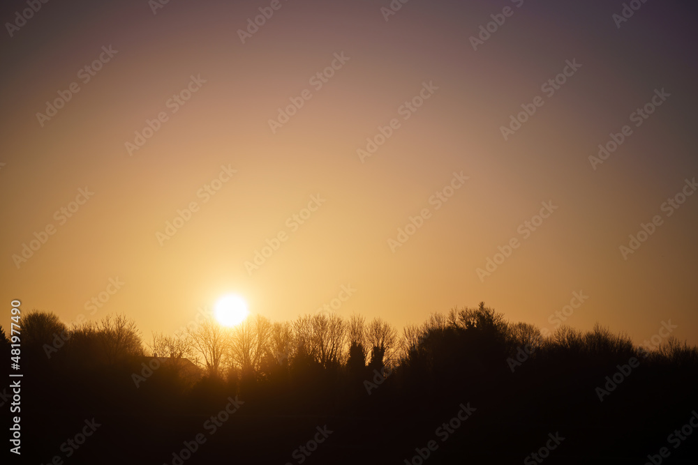 Fototapeta premium a powerful intense sunrise fills the winter tree top horizon with a fiery blanket of red, orange and yellow, Wiltshire UK