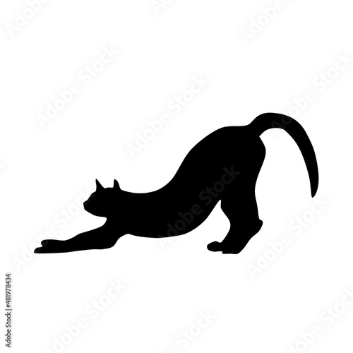 Cat silhouette, black icon, logo, background. Vector illustration isolated on white background