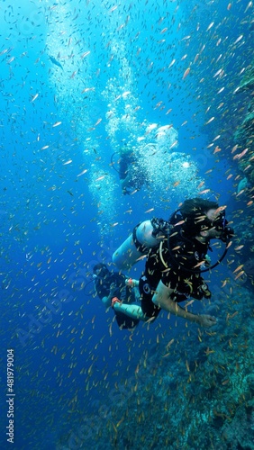 Wallpaper Mural Scuba divers in action Torontodigital.ca