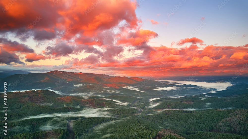 Colorful autumn sunrise over foggy woodland. Forest covered by low clouds. Fall rural landscape.