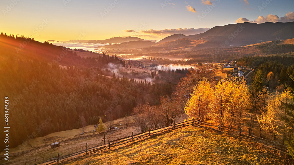 Colorful yellow trees on hill. Autumn sunrise, foggy woodland. Forest covered by low clouds. Fall rural landscape. Village in misty valley.