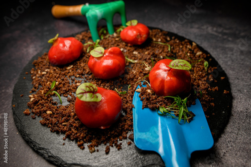 Fototapeta Naklejka Na Ścianę i Meble -  beautiful tasty snack covered with red glaze on ground meat with decor.