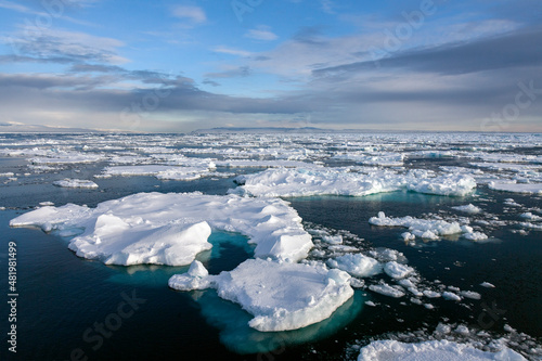 Obraz na plátně Sea ice in the North Atlantic Ocean off the northeast coast of Greenland